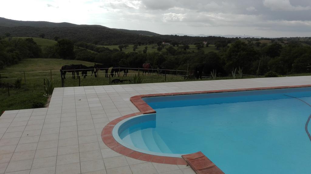 Agriturismo Collelungo Di Maremma Diaccialone Ngoại thất bức ảnh