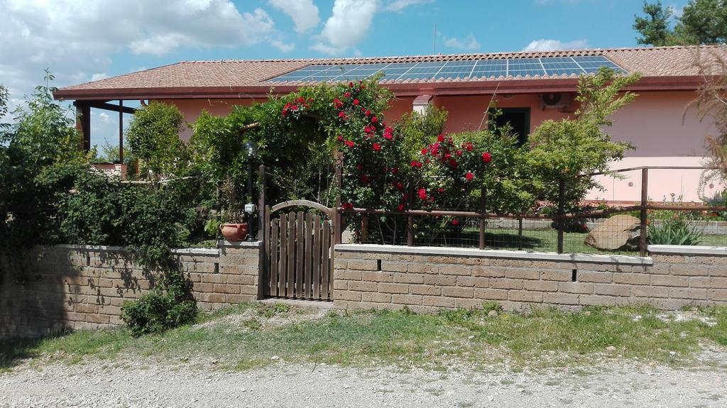 Agriturismo Collelungo Di Maremma Diaccialone Ngoại thất bức ảnh