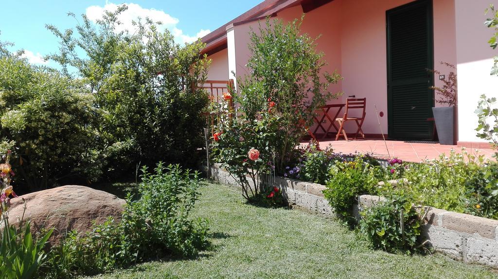 Agriturismo Collelungo Di Maremma Diaccialone Ngoại thất bức ảnh