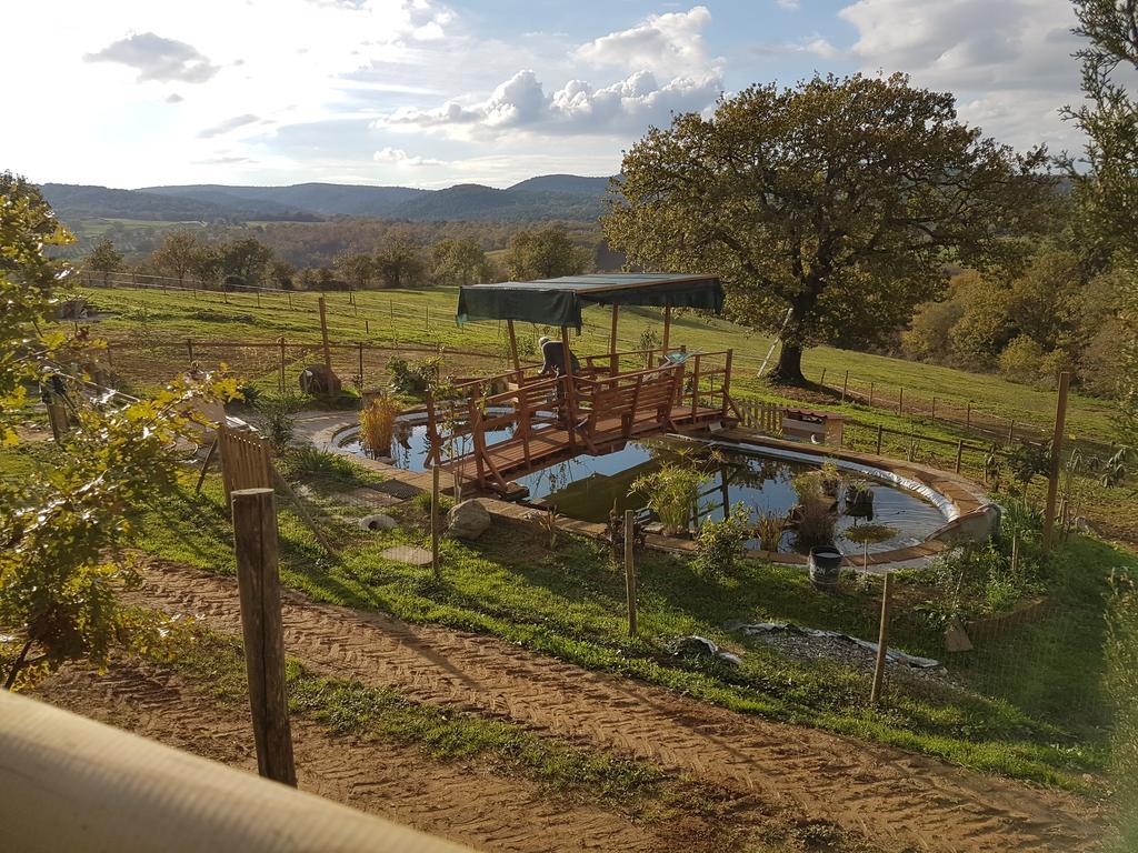 Agriturismo Collelungo Di Maremma Diaccialone Ngoại thất bức ảnh