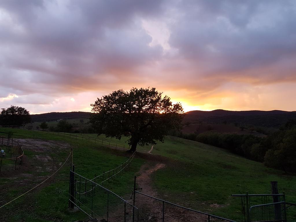 Agriturismo Collelungo Di Maremma Diaccialone Ngoại thất bức ảnh