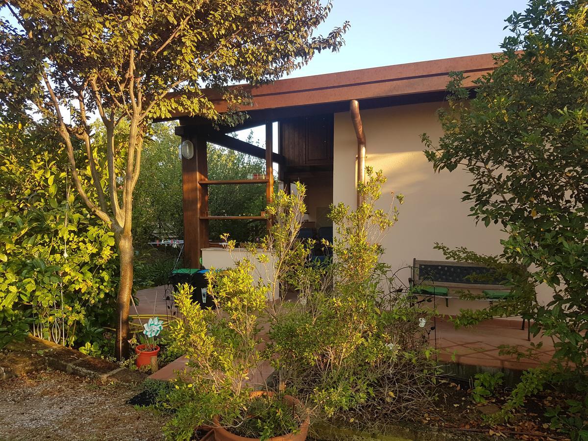 Agriturismo Collelungo Di Maremma Diaccialone Ngoại thất bức ảnh