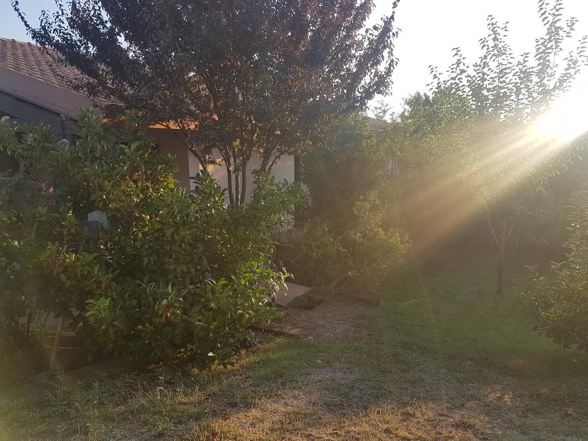 Agriturismo Collelungo Di Maremma Diaccialone Ngoại thất bức ảnh